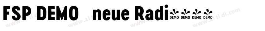 FSP DEMO   neue Radi字体转换